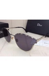 Dior Symmetric Sunglasses silver Temples Lens Brown MG02810